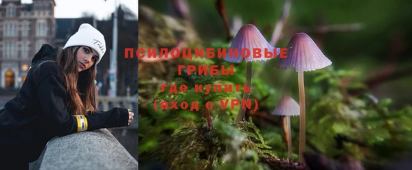 ешки Саяногорск