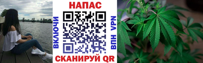 Бошки Шишки планчик blacksprut tor Нариманов где найти